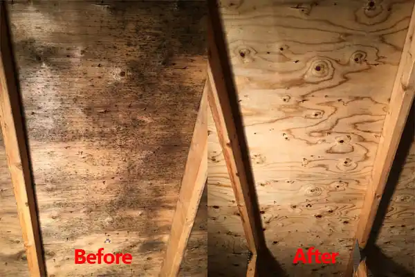 water damage restoration service Holiday Valley